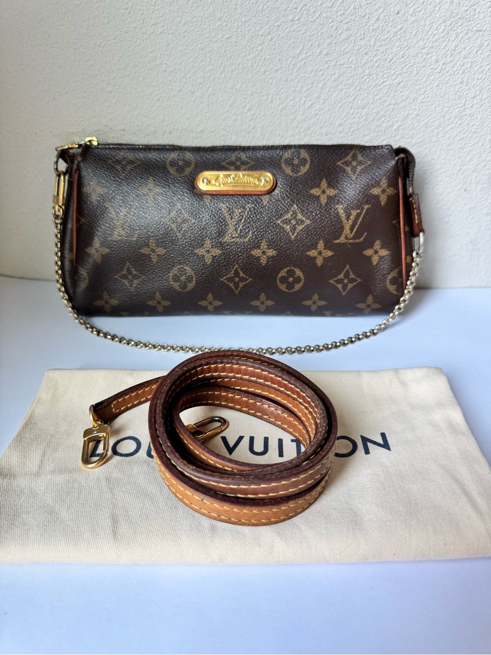 Louis Vuitton Eva Monogram bag